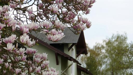 Eulenspiegelstadt Mölln